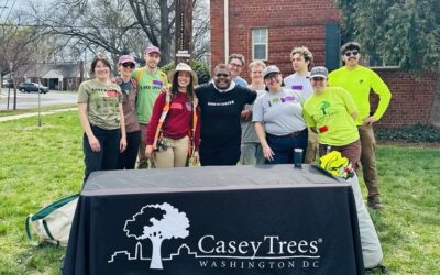 Spring Tree Planting at Hamilton Manor
