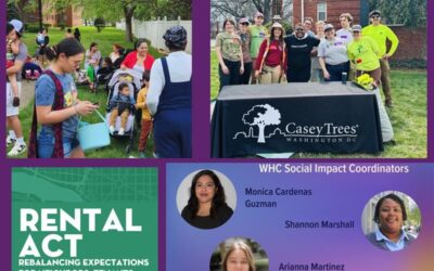 WHC 2025 Summer Recap: The year so far